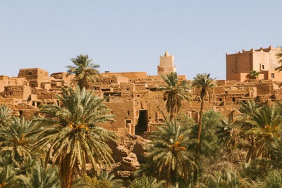 Escursione all'oasis di Al-Ahsa dal porto di Dammam